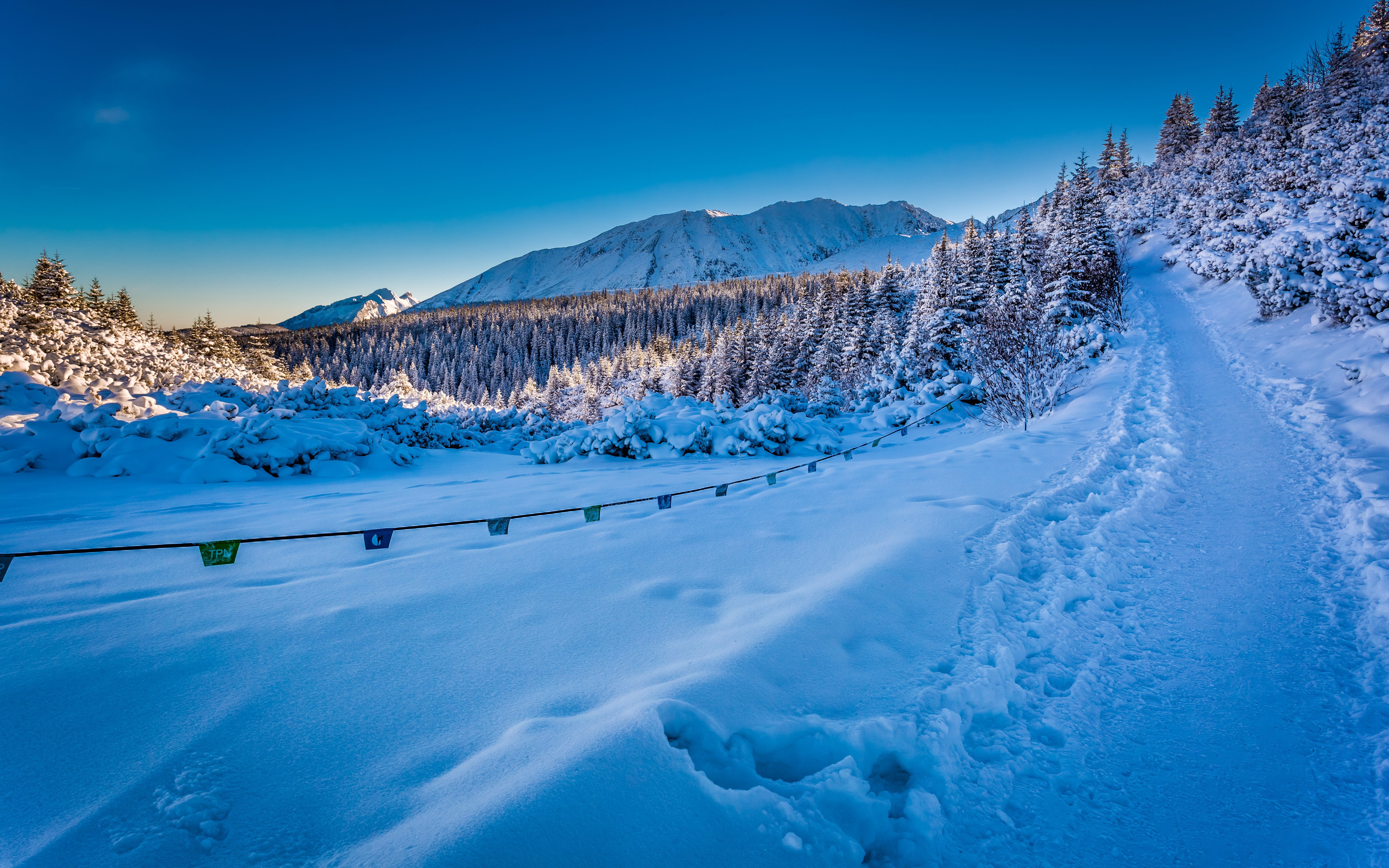 Progress, not Perfection: The Journey